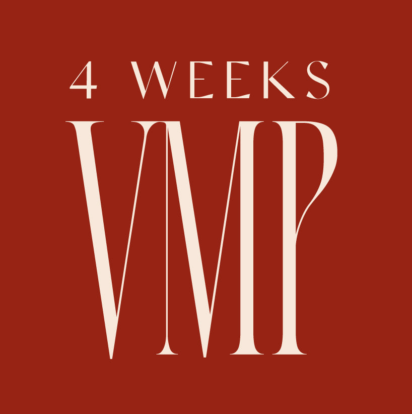 4 WEEK VIRTUAL MENTORSHIP PROGRAMME